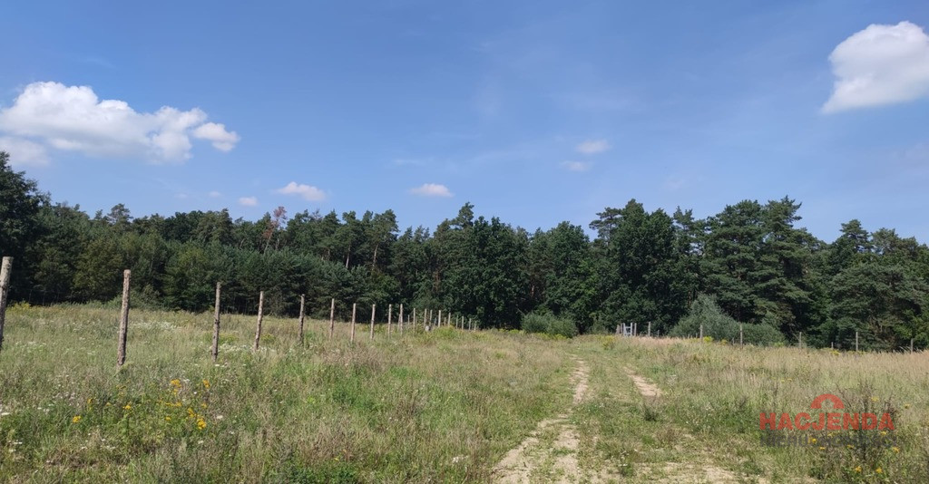 Działka Sprzedaż Kościno 4