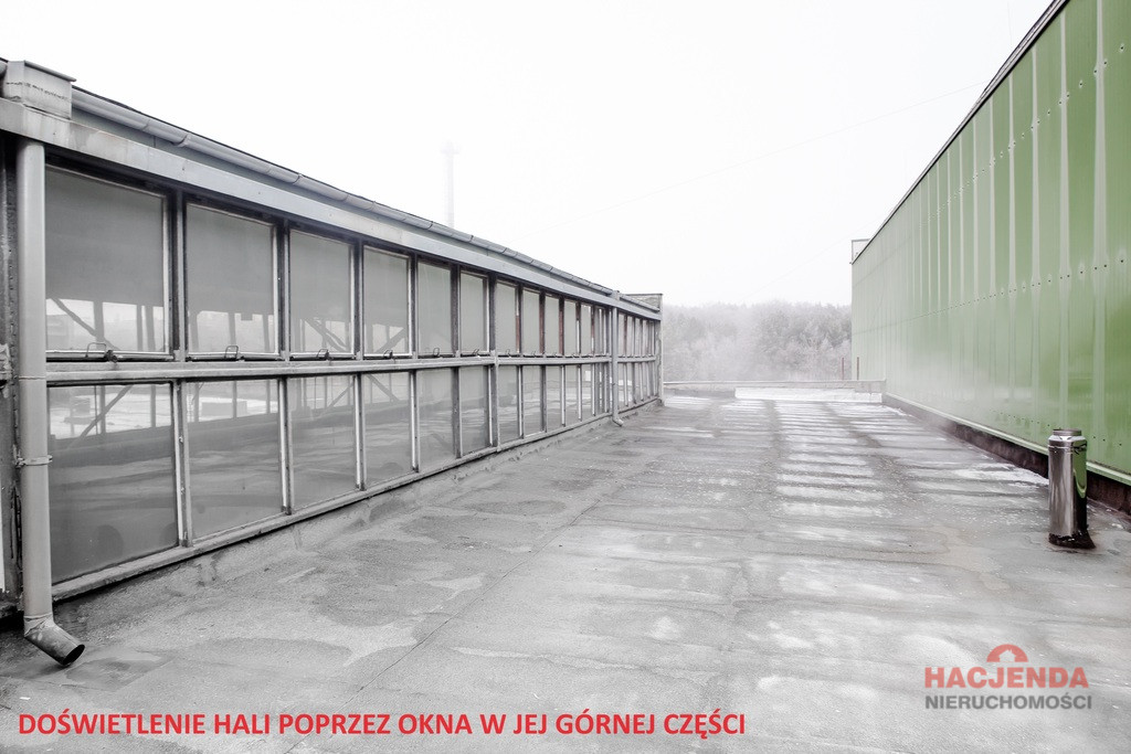 Obiekt Wynajem Szczecin 5