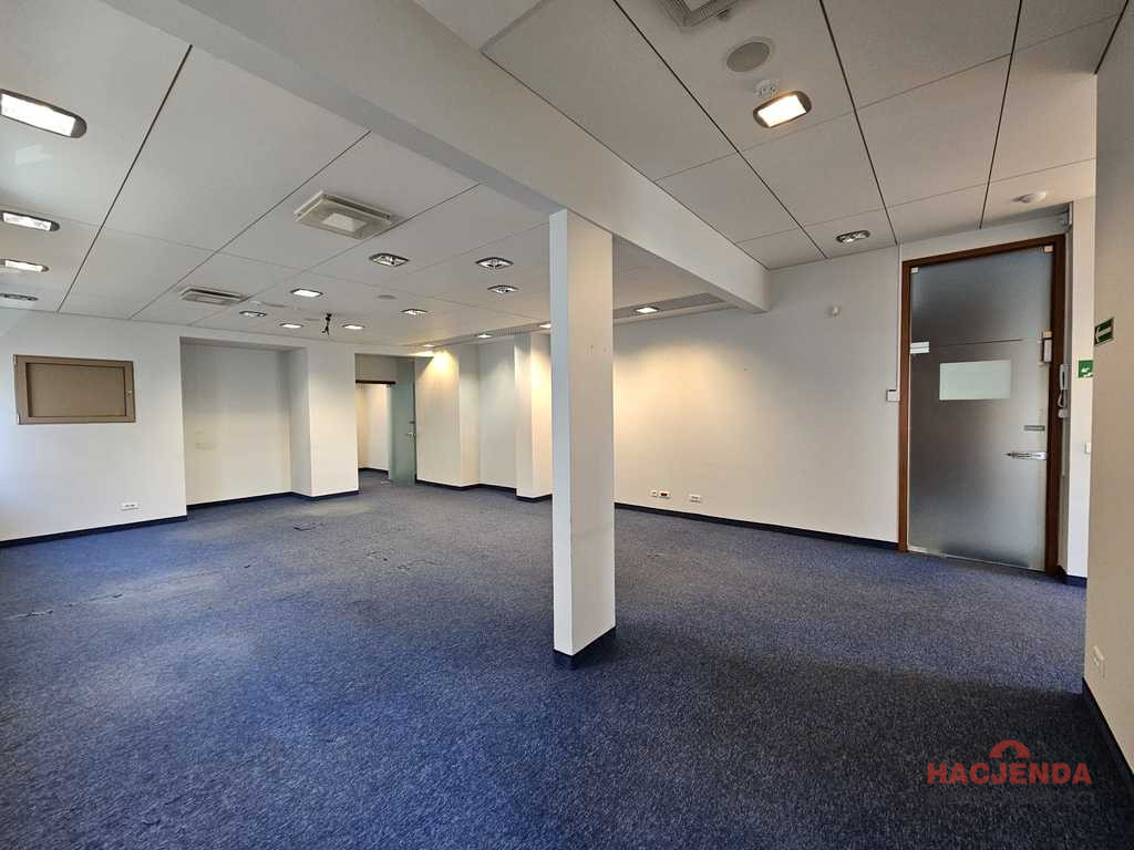 Lokal Wynajem Szczecin Centrum 3