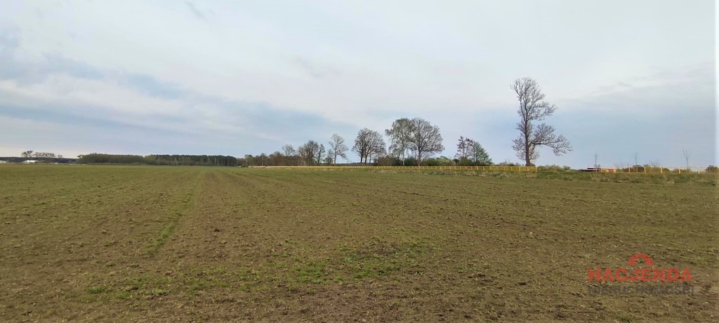 Działka Sprzedaż Lubczyna 4