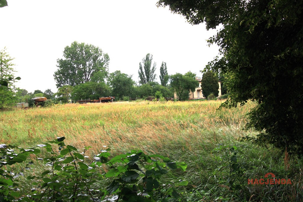 Działka Sprzedaż Ińsko Zielona 2