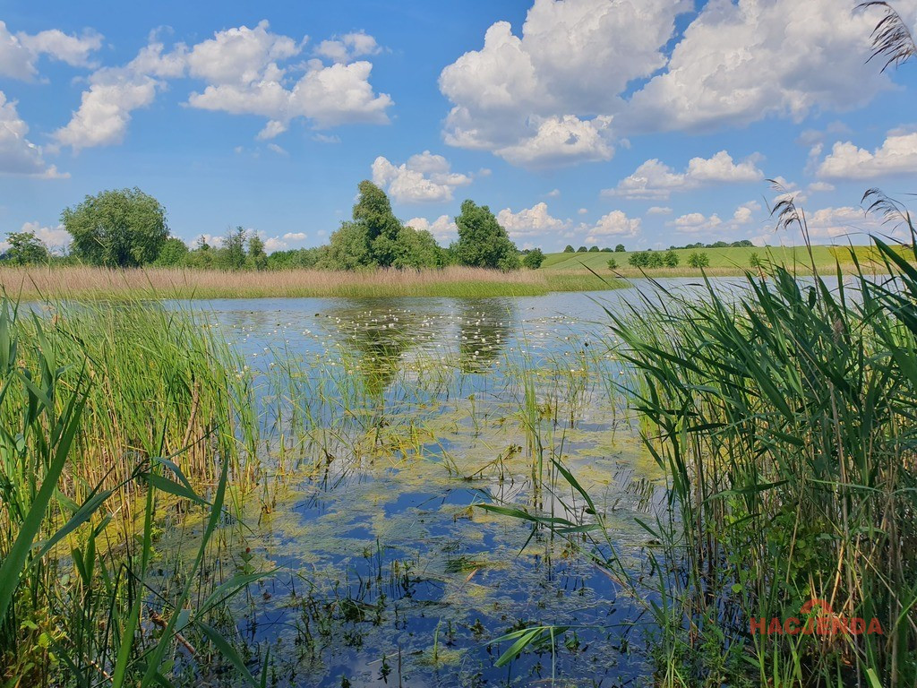 Działka Sprzedaż Zieleniewo 3