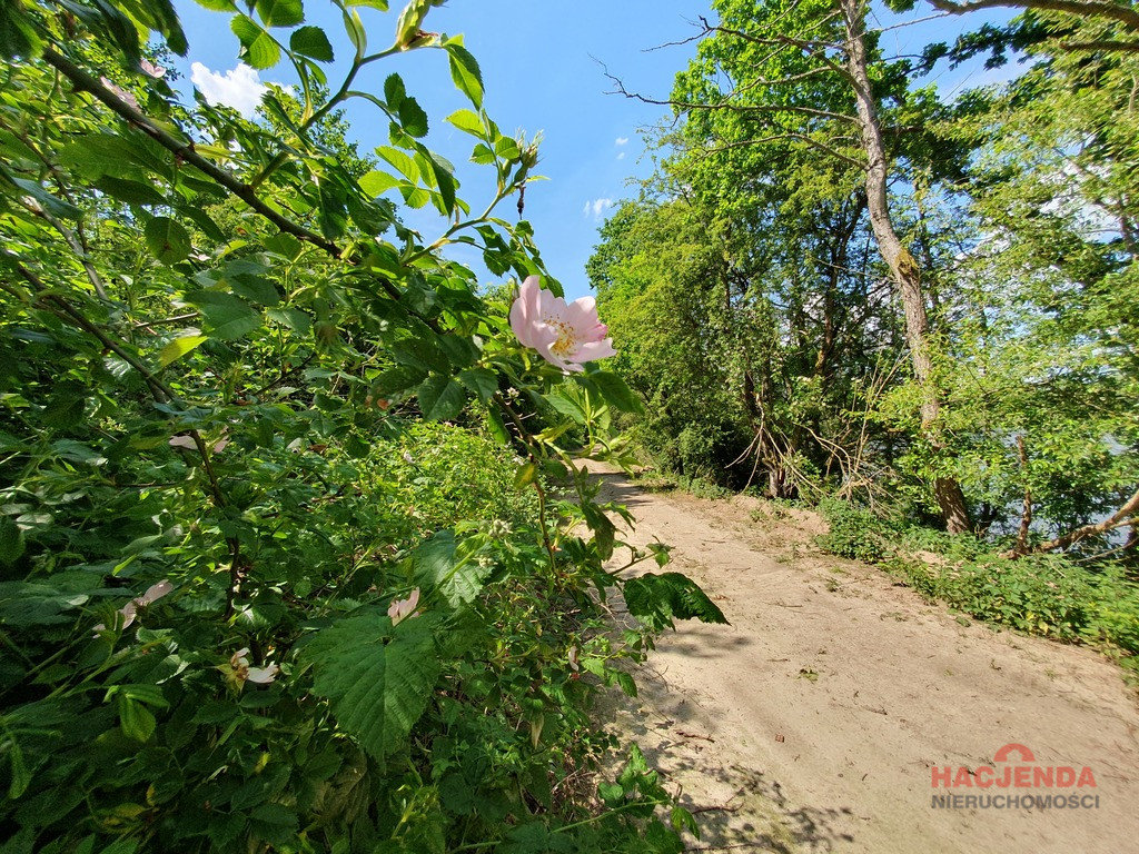 Działka Sprzedaż Zieleniewo