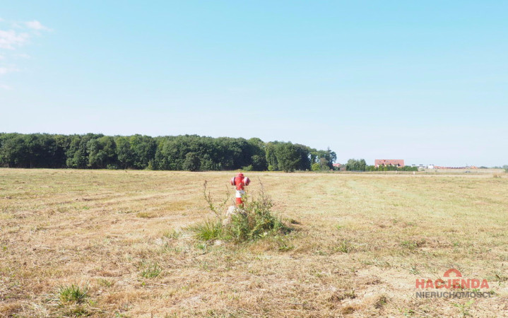 Działka Sprzedaż Śliwin