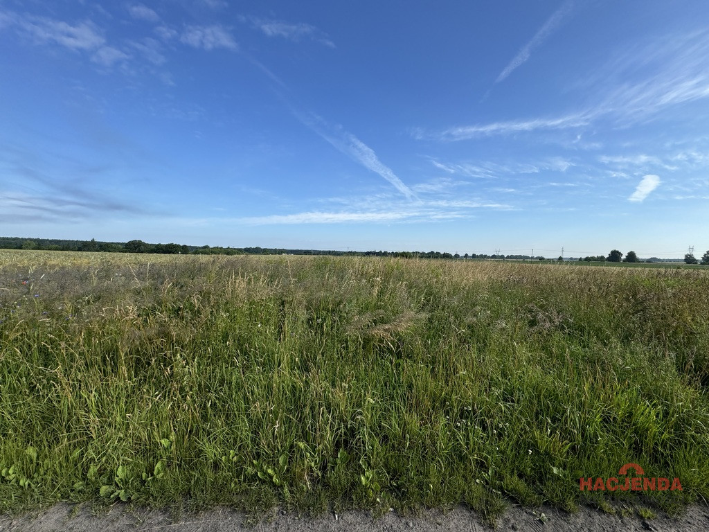 Działka Sprzedaż Goleniów 3