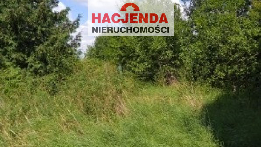 Działka Sprzedaż Mielęcinek