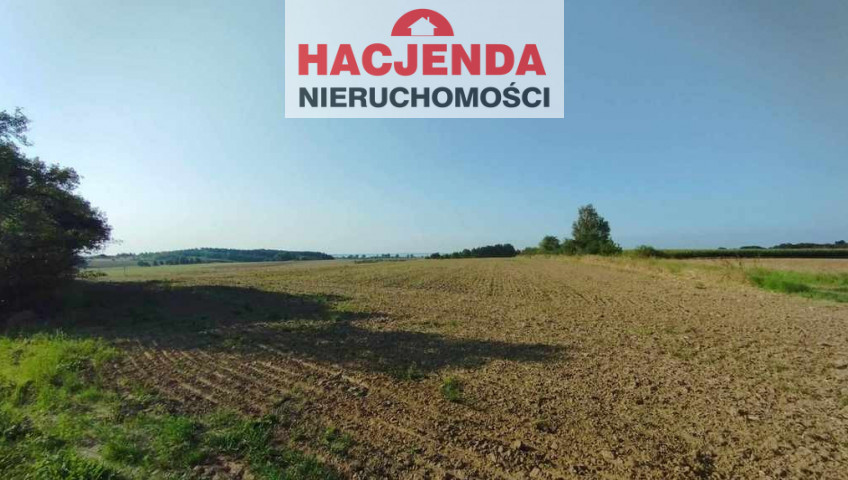 Działka Sprzedaż Żelewo