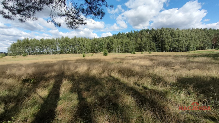 Działka Sprzedaż Komarowo 5