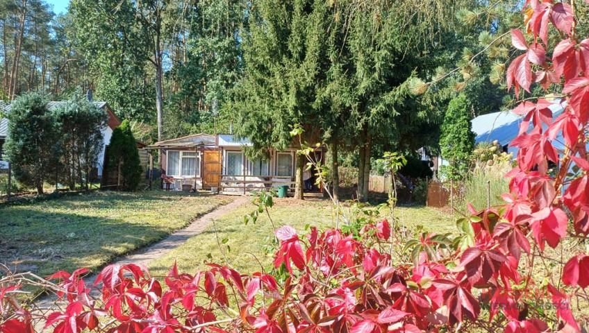 Działka Sprzedaż Bartoszewo