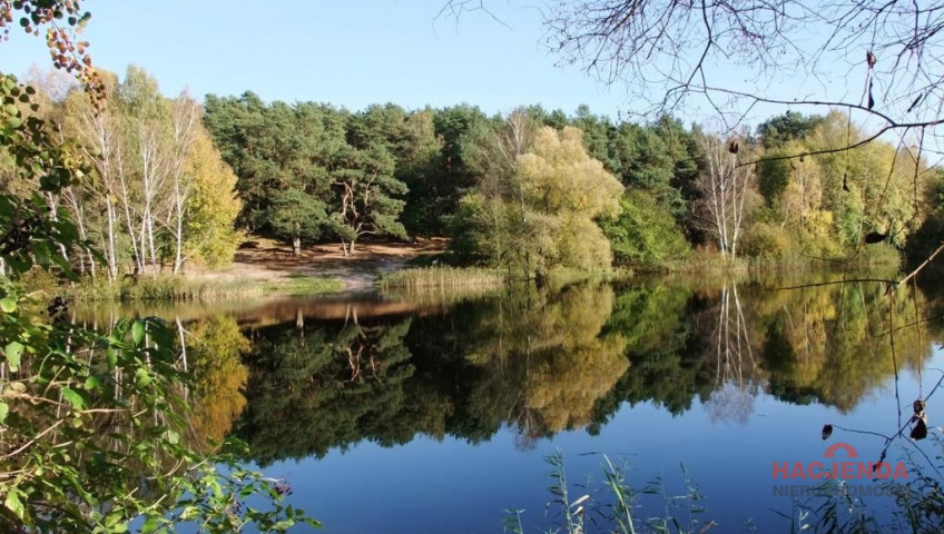 Działka Sprzedaż Bartoszewo