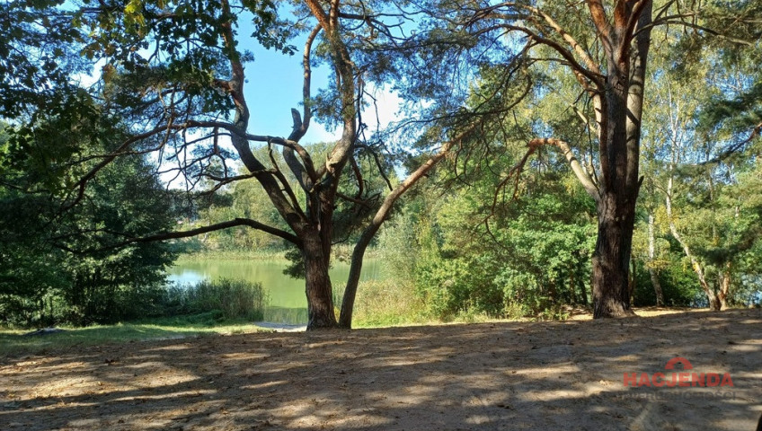 Działka Sprzedaż Bartoszewo