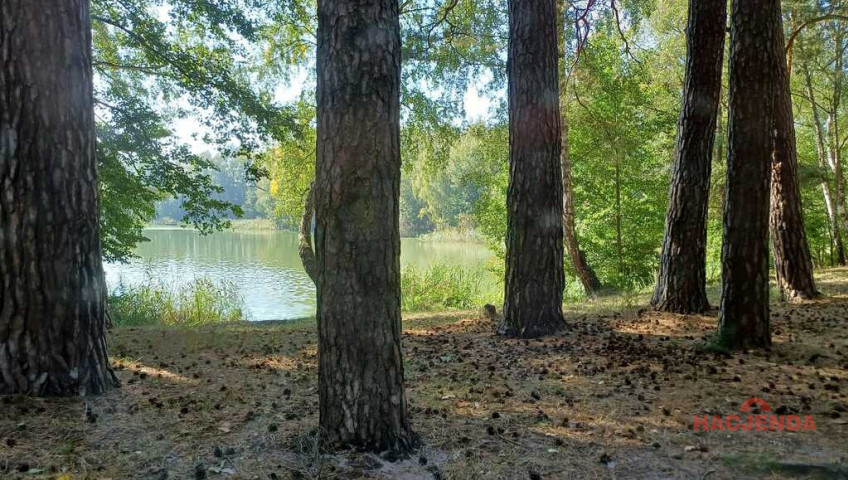 Działka Sprzedaż Bartoszewo