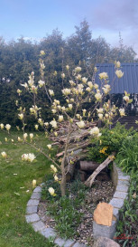 Dom Sprzedaż Trzebież Portowa