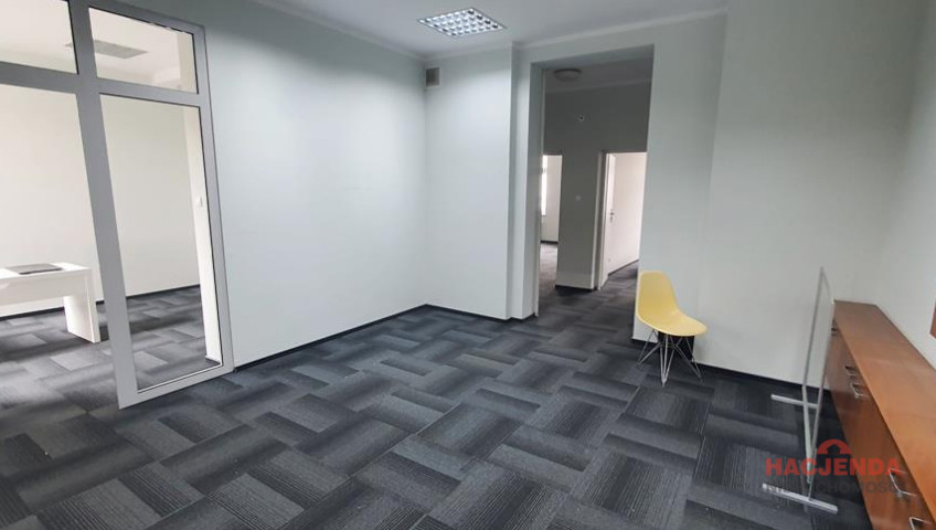 Lokal Wynajem Szczecin Centrum