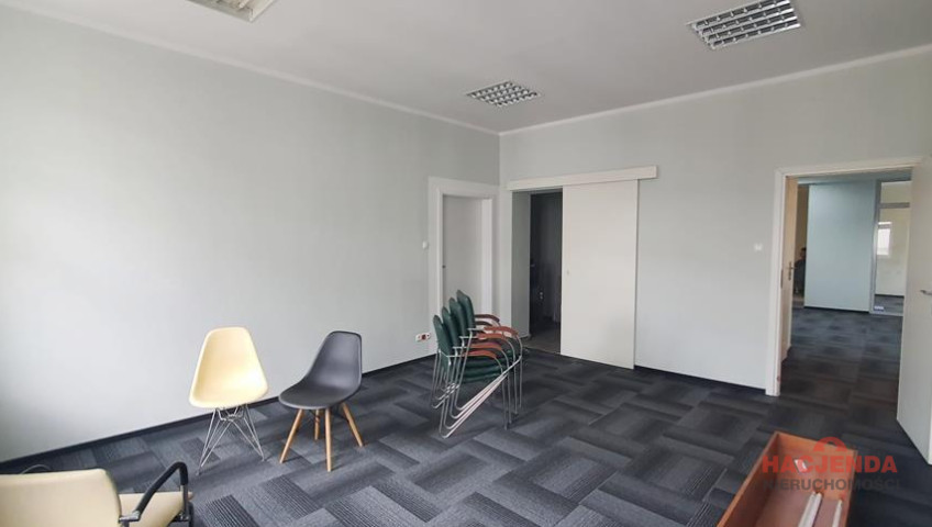 Lokal Wynajem Szczecin Centrum