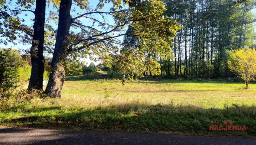 Działka Sprzedaż Rzędziny
