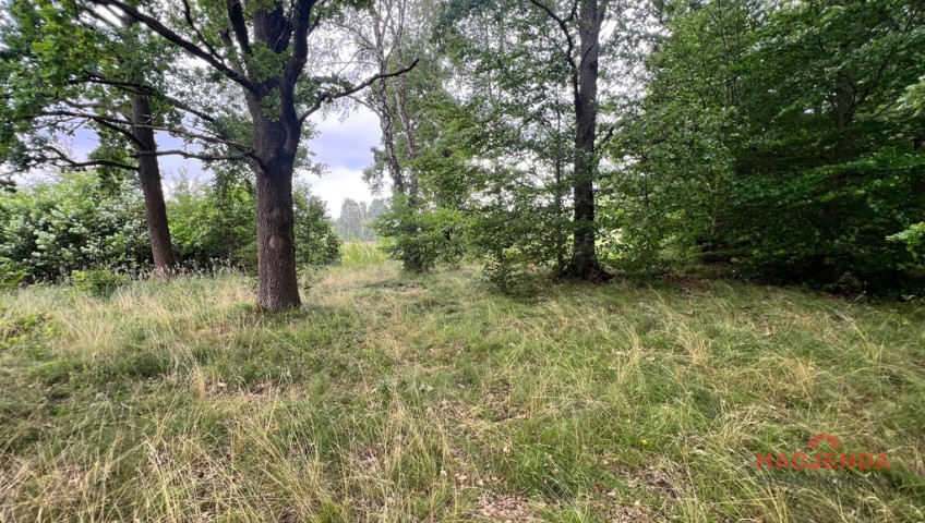 Działka Sprzedaż Storkowo