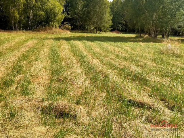 Działka Sprzedaż Grzepnica