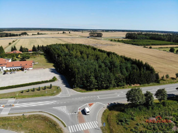 Działka Sprzedaż Osina