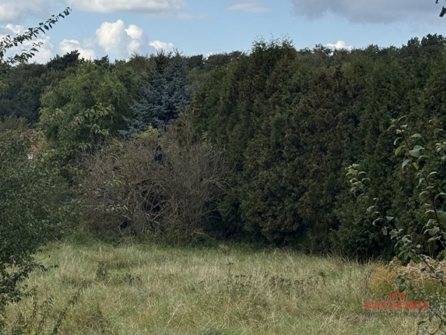 Działka Sprzedaż Szczecin Pilchowo
