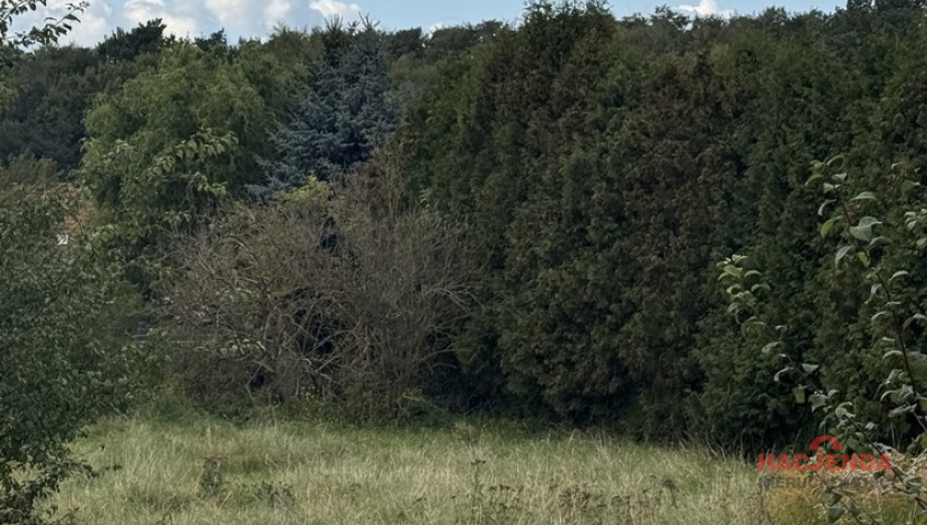 Działka Sprzedaż Szczecin Pilchowo