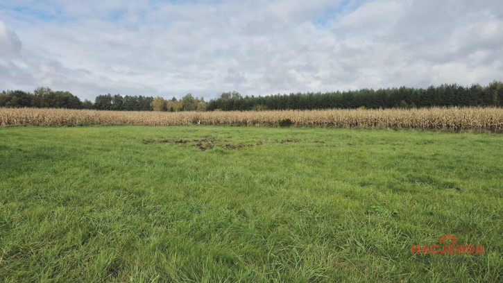 Działka Sprzedaż Tatynia 1