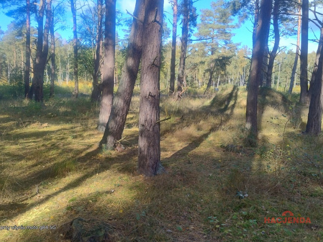 Działka Sprzedaż Dziwnów