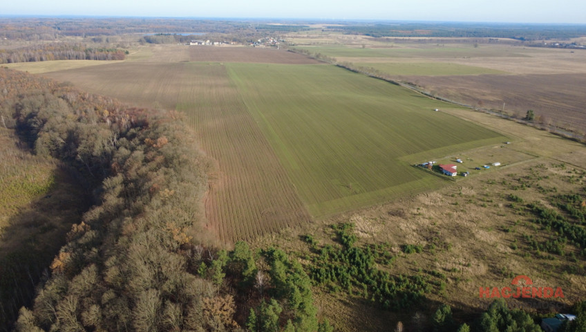 Działka Sprzedaż Storkowo