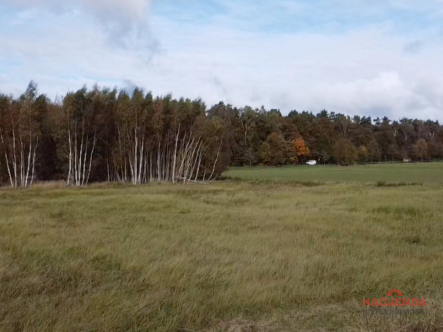 Działka Sprzedaż Chrząstowo