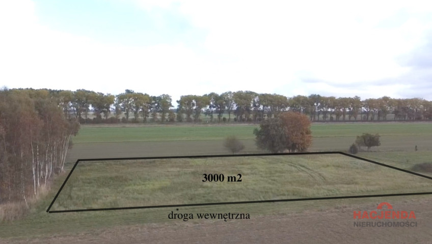 Działka Sprzedaż Chrząstowo