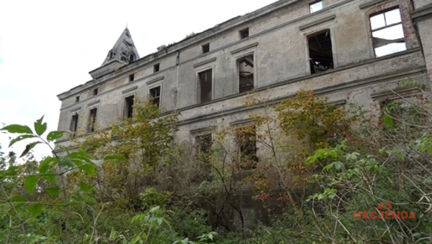 Dom Sprzedaż Wierzbięcin