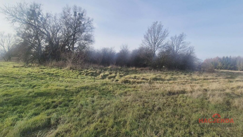 Działka Sprzedaż Tatynia