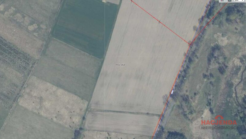Działka Sprzedaż Trzechel