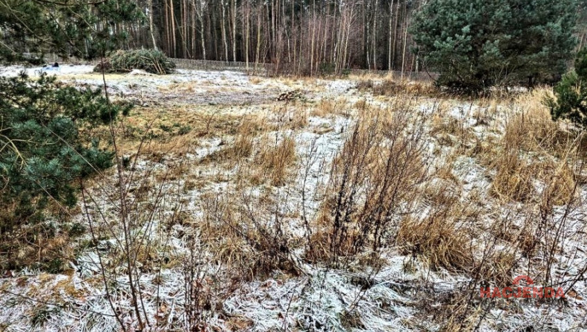 Działka Sprzedaż Dargobądz