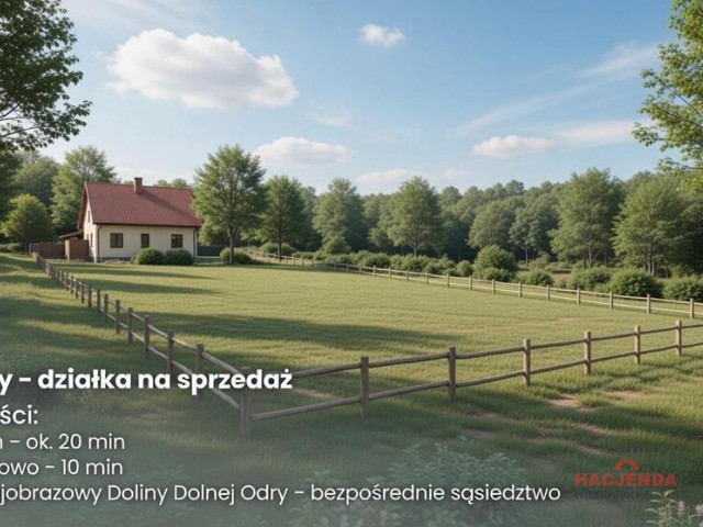 Działka Sprzedaż Moczyły