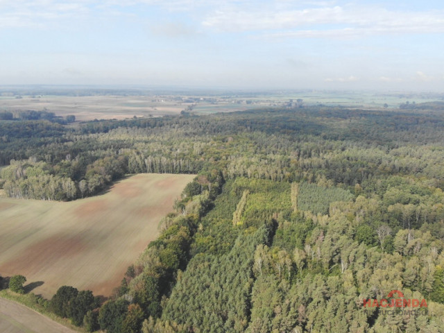 Działka Sprzedaż Rów