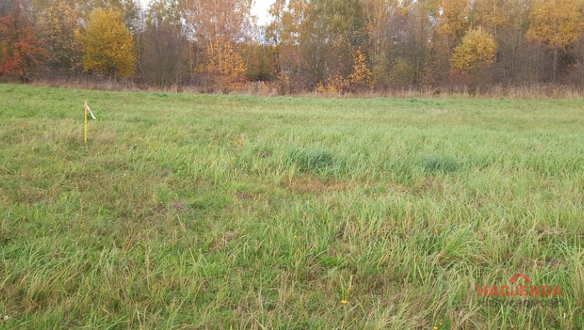 Działka Sprzedaż Steklno