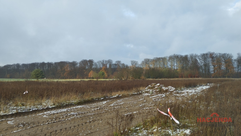 Działka Sprzedaż Dobropole Gryfińskie