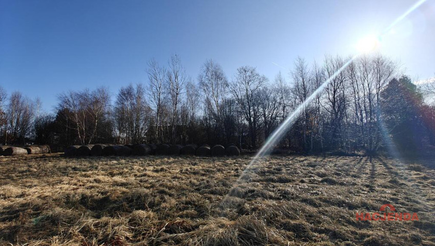 Działka Sprzedaż Koszalin Wilków Morskich