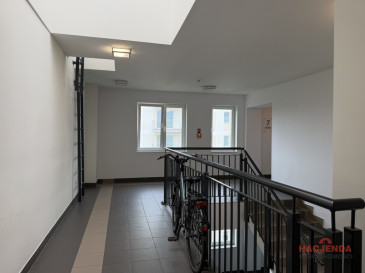 Mieszkanie Wynajem Szczecin Warszewo Panoramiczna
