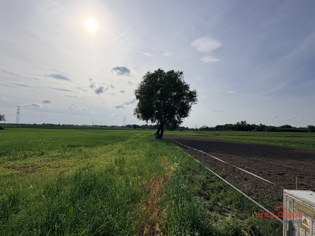 Działka Sprzedaż Przęsocin