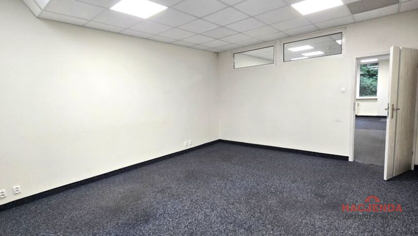 Lokal Wynajem Szczecin Śródmieście-Centrum
