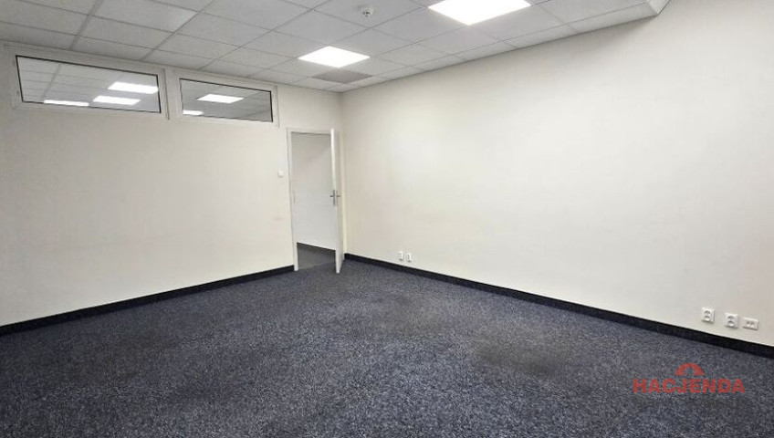 Lokal Wynajem Szczecin Śródmieście-Centrum