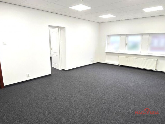 Lokal Wynajem Szczecin Śródmieście-Centrum