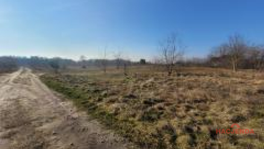 Działka Sprzedaż Łaniewo