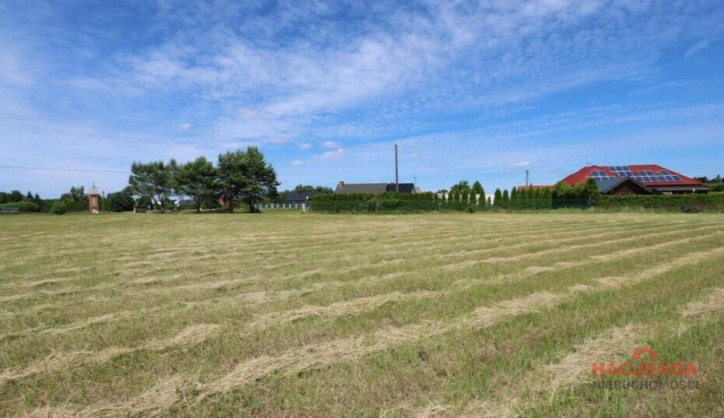 Działka Sprzedaż Żdżary 6
