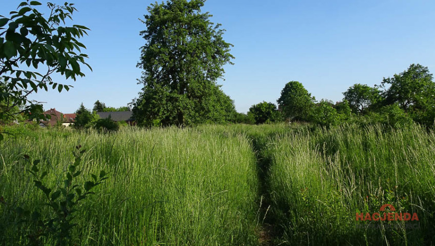 Działka Sprzedaż Binowo