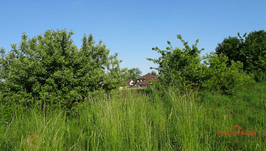 Działka Sprzedaż Binowo