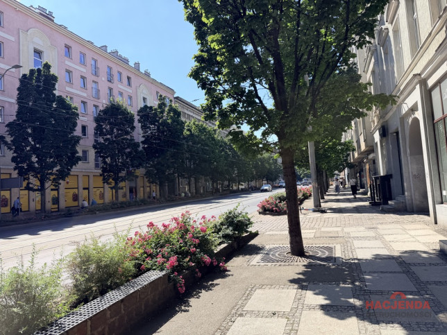 Lokal Sprzedaż Szczecin Centrum 8