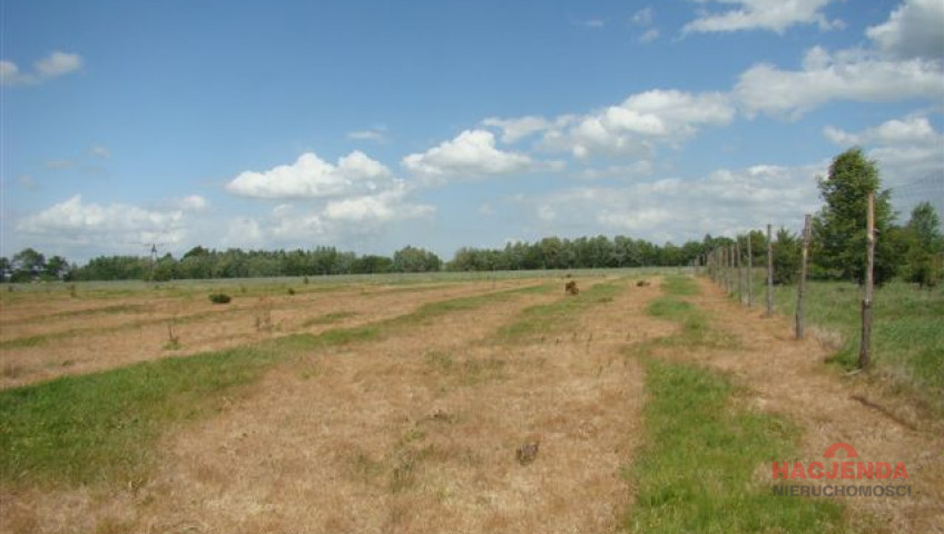 Działka Sprzedaż Stargard